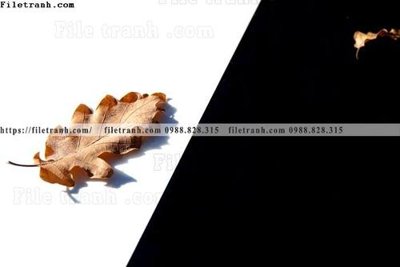 Download file tac pham nghe thuat truu tuong 561 (chất lượng in ấn)