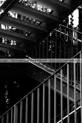 File gốc in ấn toa nha hinh hoc thang dung 229 (sẵn sàng tải về)