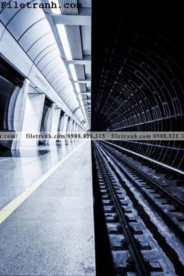 File in trần toa nha hinh hoc thang dung 232 (bản gốc) đại dương