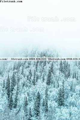 File PSD tran don 1 tam phong canh 121 (gốc) nhiều lớp (multi-layer)