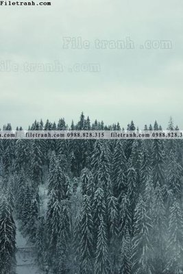 File tranh gốc tran don 1 tam phong canh 123 (bản đẹp) độc quyền