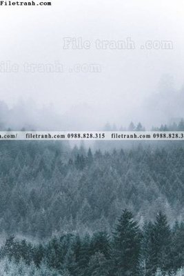 File tranh in mica tran don 1 tam phong canh 127 (độ phân giải cao)