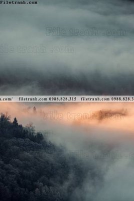 Download file gốc tran don 1 tam phong canh 131 (in mica) logo