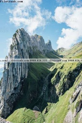 Tải file tran don 1 tam phong canh 133 (gốc) để in ấn ngay