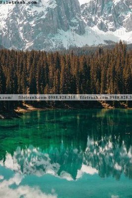 File gốc in ấn tran don 1 tam phong canh 139 (sẵn sàng tải về)