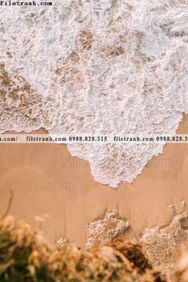 Tải file gốc tran don 1 tam phong canh 172 (in khổ lớn) quảng cáo