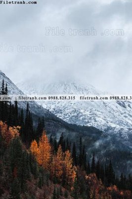 Hình ảnh gốc tran don 1 tam phong canh 181 (để in khổ lớn)