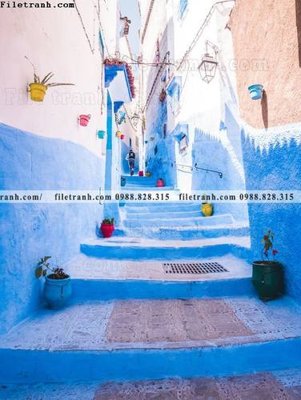 File gốc in ấn tran don 1 tam phong canh 185 (sẵn sàng tải về)