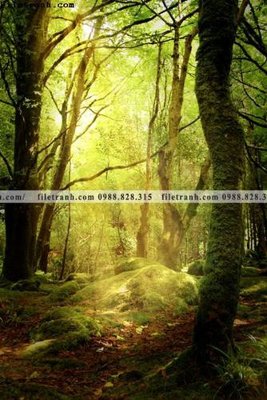 File gốc in tráng gương tran don 1 tam phong canh 187 chi tiết