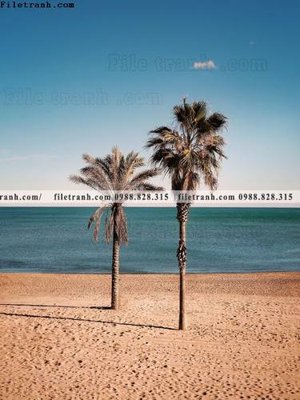 Hình ảnh file gốc in trần nhà tran don 1 tam phong canh 197