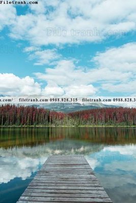 Download file tran don 1 tam phong canh 200 (chuẩn in) chất lượng cao