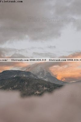 File PSD tran don 1 tam phong canh 204 (bản gốc) cho nhà in