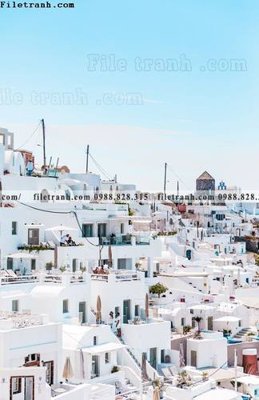 Hình ảnh file gốc in trần nhà tran don 1 tam phong canh 205