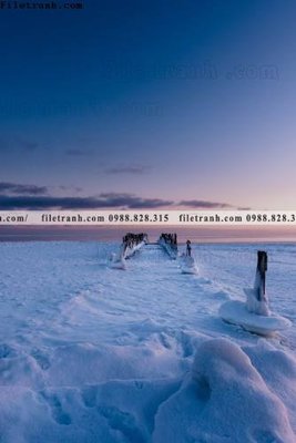 Tải file tran don 1 tam phong canh 211 (ảnh gốc) độ phân giải 300dpi