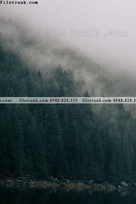 File gốc tran don 1 tam phong canh 215 (ảnh chi tiết) để in lụa