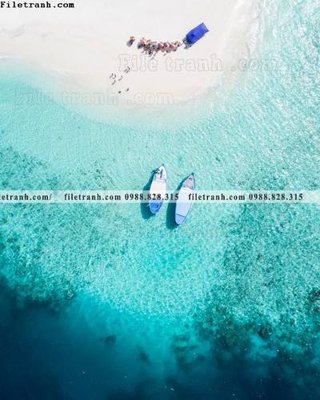 File in mica tran don 1 tam phong canh 217 (ảnh gốc) đẹp