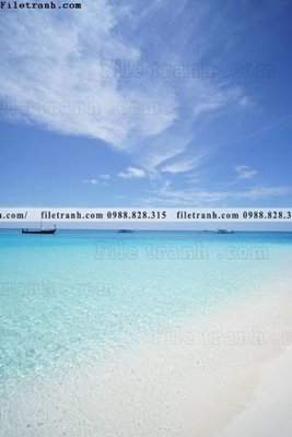 File gốc tran don 1 tam phong canh 241 (chuẩn màu) cho in offset