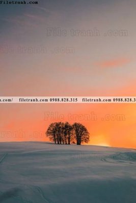 File in trần tran don 1 tam phong canh 243 (bản gốc) hoa văn