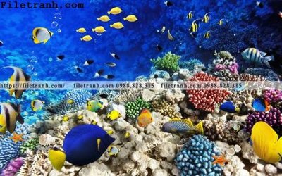 File in trần tranh 3D the gioi duoi nuoc dai duong 116 (bản gốc) bầu trời