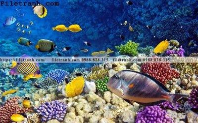 File tranh tranh 3D the gioi duoi nuoc dai duong 120 (bản gốc) trang trí văn phòng