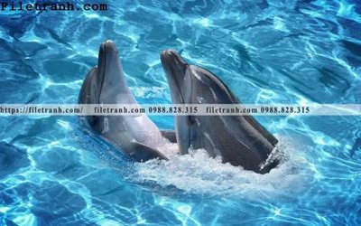 File in mica tranh 3D the gioi duoi nuoc dai duong 132 (bản gốc) siêu trong