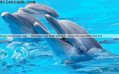 Tải file tranh 3D the gioi duoi nuoc dai duong 151 (ảnh gốc) độ phân giải 300dpi