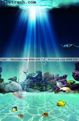 File tranh tranh 3D the gioi duoi nuoc dai duong 164 (gốc) in trên kính