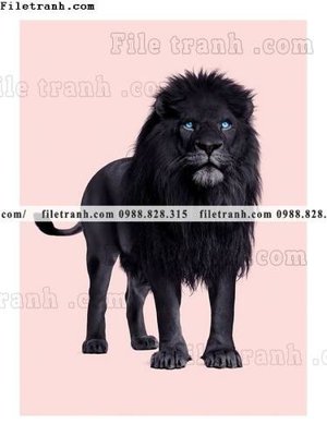 Tải file gốc tranh bo bac au tuoi moi 664 (in khổ lớn) không mờ