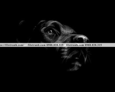 Mua file ảnh gốc tranh chan dung dong vat den trang 1507 (chất lượng cao)