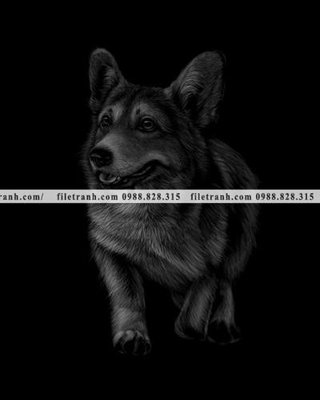 Tải file tranh gốc tranh chan dung dong vat den trang 1521 chất lượng cao