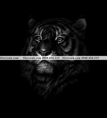 File tranh ảnh gốc tranh chan dung dong vat den trang 1542 dùng cho in khổ lớn