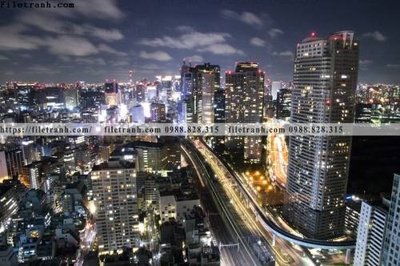 Download file gốc tranh chup anh thanh pho dang ngang 376 (in lụa) hoa lá