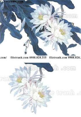 Hình ảnh file gốc in trần nhà tranh co ve trung quoc 572