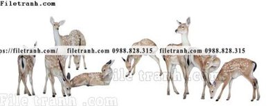 File gốc tranh co ve trung quoc 576 (in lụa) chi tiết cao