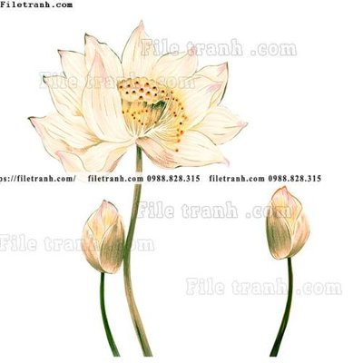 File in mica tranh co ve trung quoc 593 (bản gốc) siêu trong