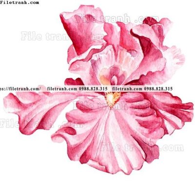 File tranh tranh co ve trung quoc 609 (bản gốc) in canvas