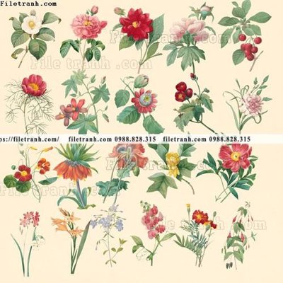 File in trần tranh co ve trung quoc 682 (file gốc) xuyên sáng