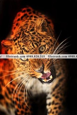 Tải file tranh gốc tranh con bao 690 chất lượng cao