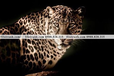 File tranh tranh con bao 692 (gốc) chủ đề thiên nhiên