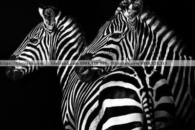 File gốc tranh con ngua van 504 (in ấn) không giới hạn