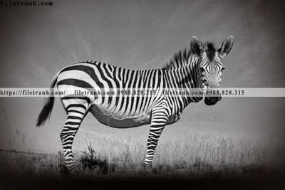 Tải file tranh con ngua van 506 (gốc) in tranh tráng gương