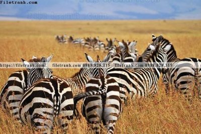 File gốc tranh con ngua van 511 (in lụa) họa tiết 3D