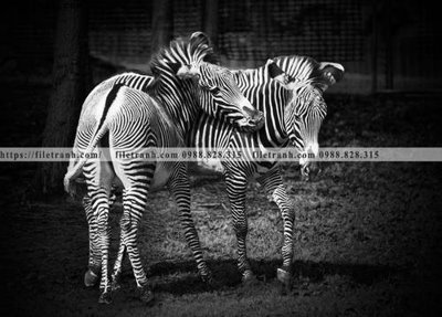 Download file gốc tranh con ngua van 513 (in mica) trang trí