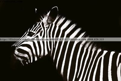 Tải file tranh con ngua van 516 (ảnh gốc) in gạch 3D