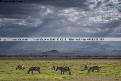 File PSD tranh con ngua van 524 (gốc) cho in quảng cáo