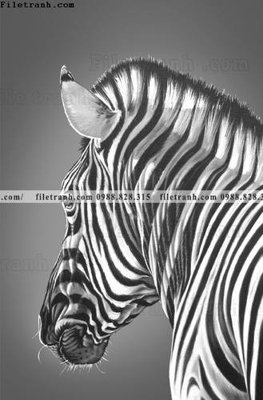 Tải file tranh con ngua van 535 (ảnh gốc) 300dpi tranh con ngua van 535