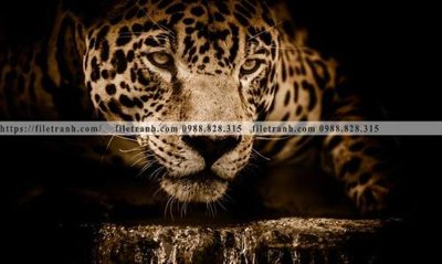 File gốc tranh con su tu 501 (in tráng gương) ốp tường