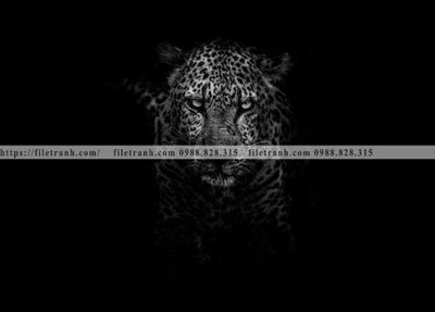 Tải file tranh con su tu 507 (gốc) in nhanh