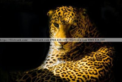 File gốc tranh con su tu 510 (in 3D) cho trang trí