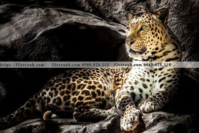 File gốc tranh con su tu 511 (in mica) làm bảng hiệu